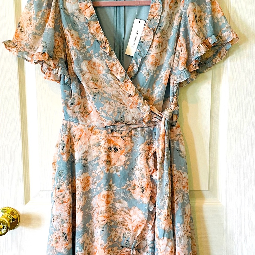 NWT Francesca’s dress